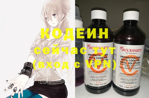 гашик Богданович