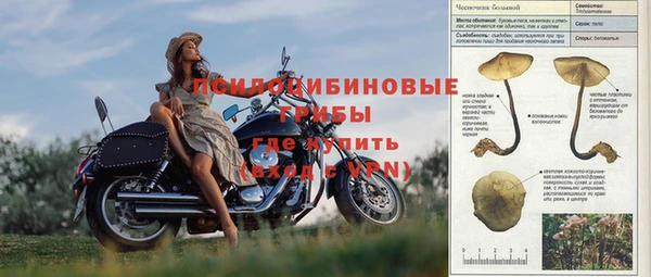 гашик Богданович