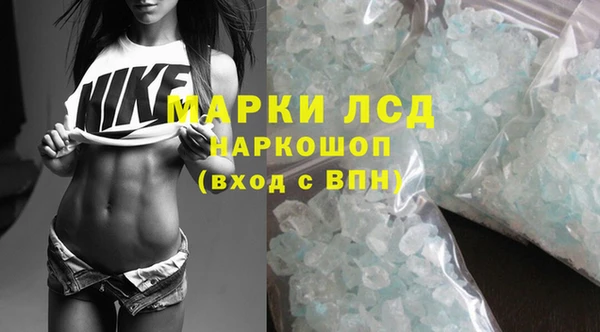 гашик Богданович