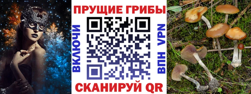 Псилоцибиновые грибы мицелий Надым